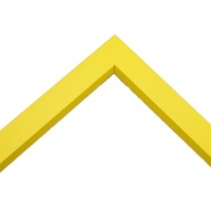 OM-80299-S: Sample Options