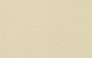 Fossil #9511 32 x 40 Crescent Select Matboard