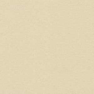 Fossil #9511, 32x40 Crescent Select Matboard