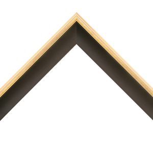 OM-84208: 3/16" Wide Gold Leaf Floater With Black Wood Floater Frame (1 1/2" Rabbet)