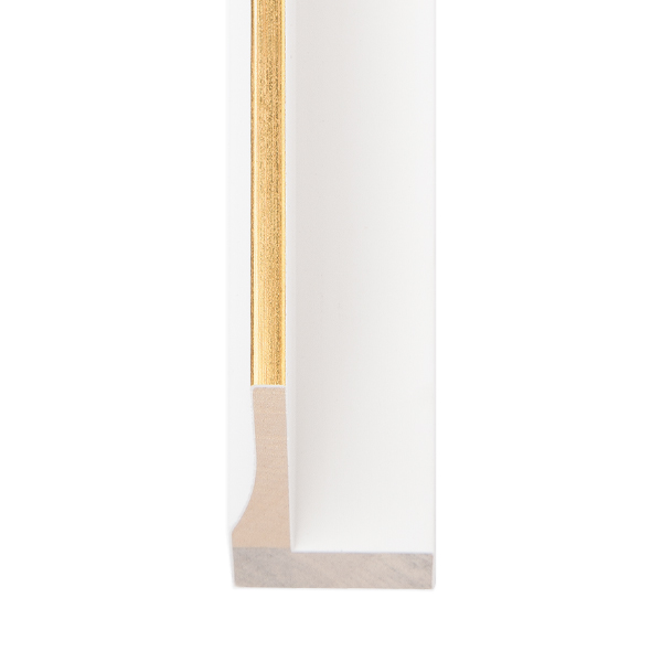 OM-84212: 3/16" Wide Gold Leaf Floater With White Wood Floater Frame (1 1/2" Rabbet)
